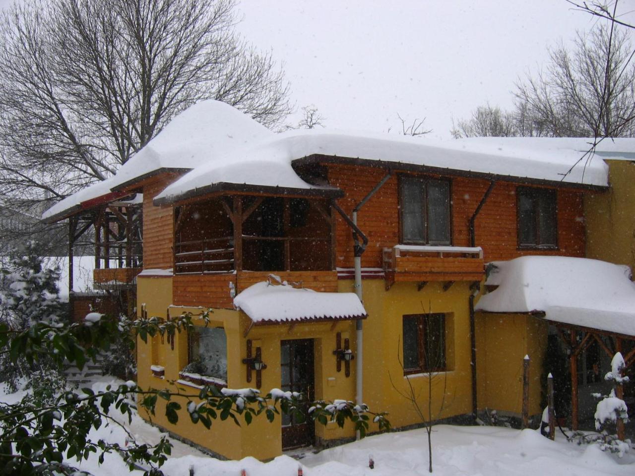Casa Mica Guesthouse 布加勒斯特 外观 照片