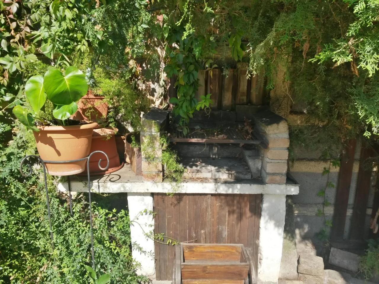 Casa Mica Guesthouse 布加勒斯特 外观 照片