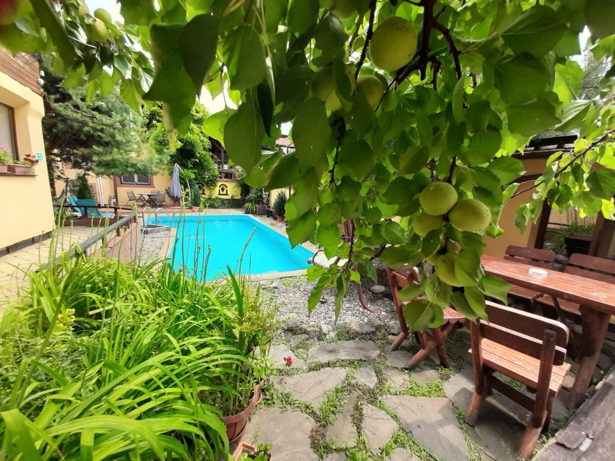 Casa Mica Guesthouse 布加勒斯特 外观 照片
